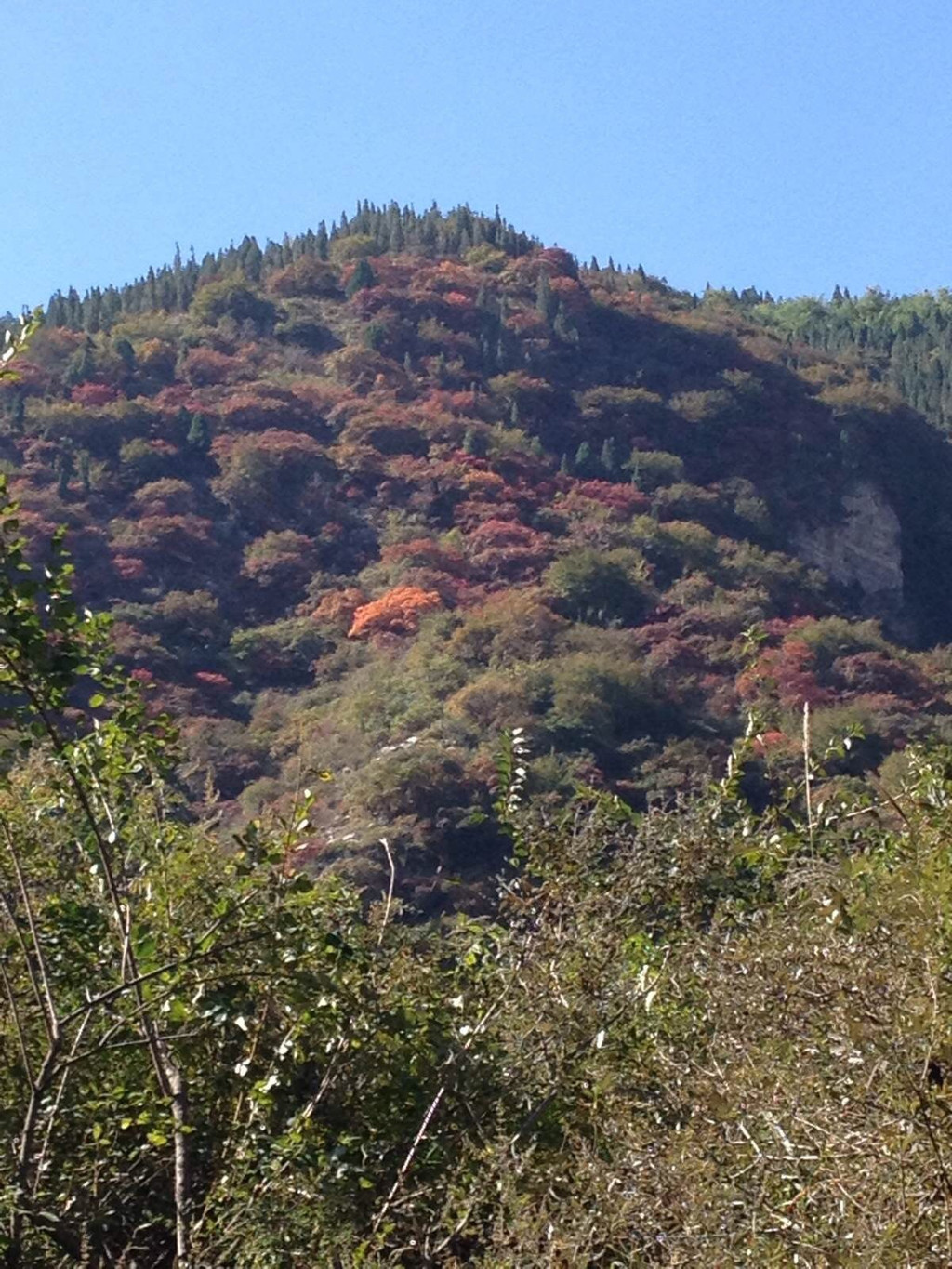 青州减肥训练营黄花溪地址(青州一日游必去景点青州黄花溪景区)